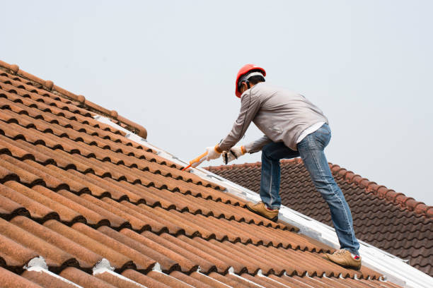 4 Ply Roofing in Waynesboro, MS