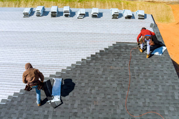 Best Roof Insulation Installation  in Waynesboro, MS
